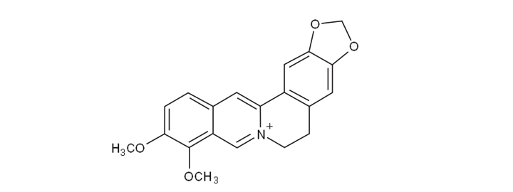 berberine_molecule
